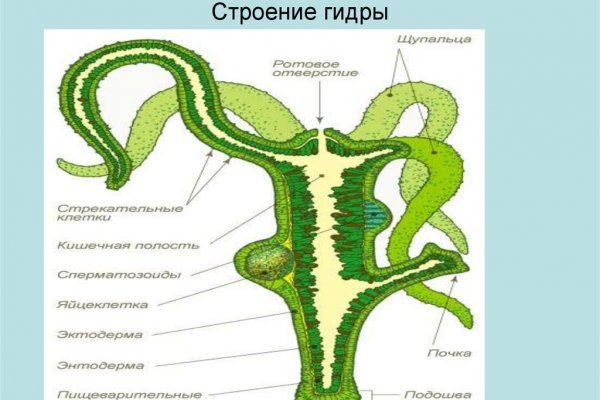 Кракен вход магазин kraken17ate pro