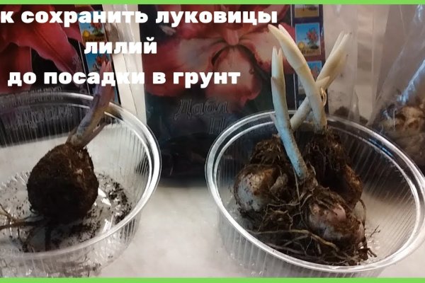 Кракен пользователь не найден что делать