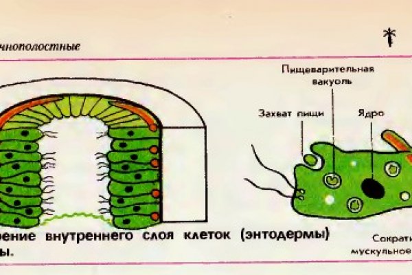 Ссылка на кракен тор kraken014 com