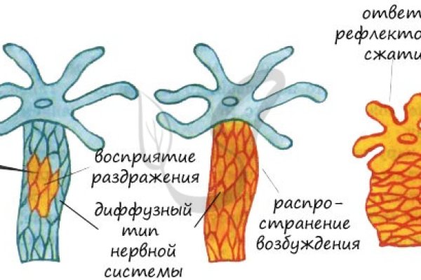 Сайт krn