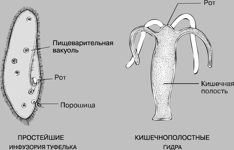 Удалился аккаунт кракен